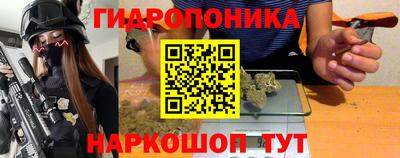 твердый Камышлов