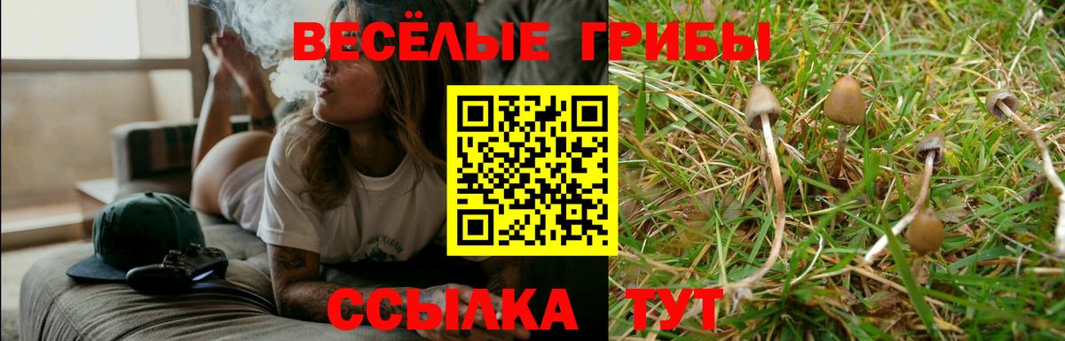 цены   Псилоцибиновые грибы Magic Shrooms  Вход с VPN  Котельники 